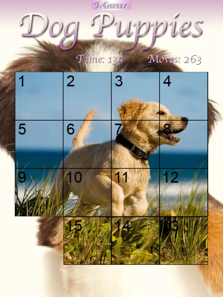 Dog Puppies HD iPad Screenshots