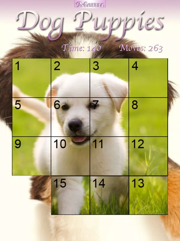 Dog Puppies HD iPad Screenshots