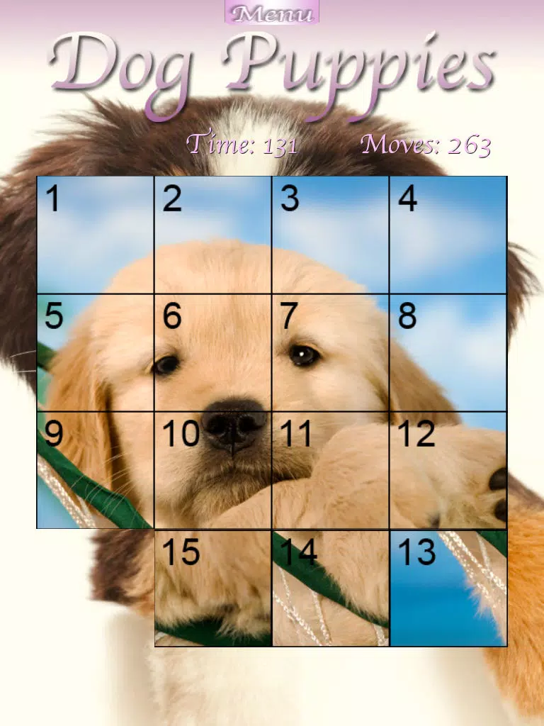 Dog Puppies HD iPad Screenshots
