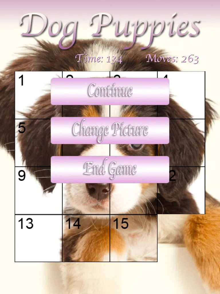 Dog Puppies HD iPad Screenshots