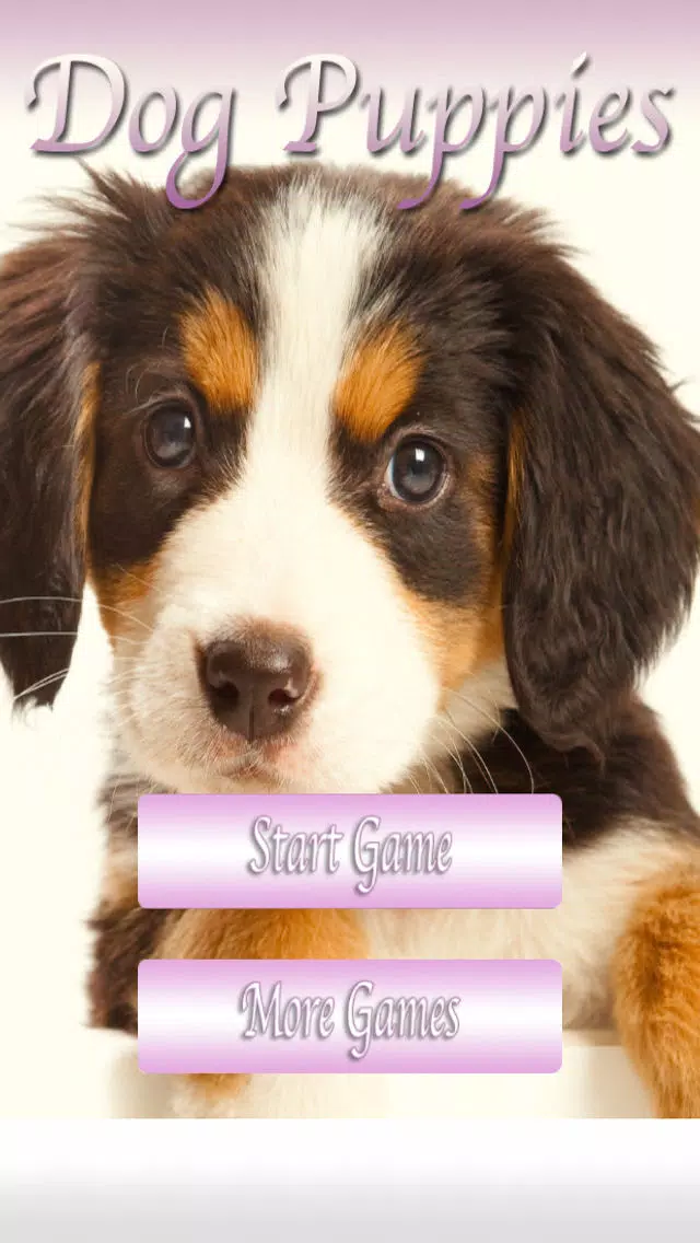 Dog Puppies HD Screenshots