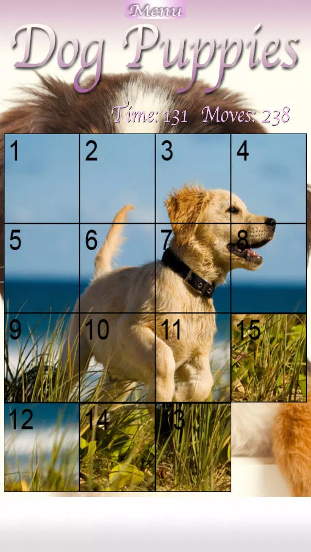 Dog Puppies HD Screenshots