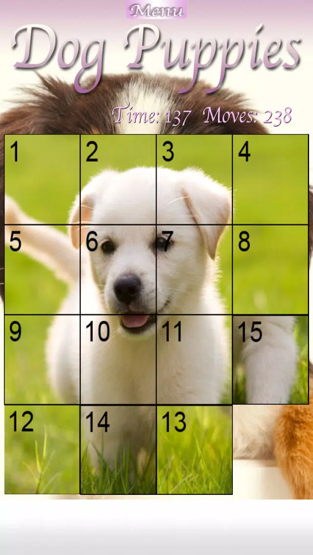 Dog Puppies HD Screenshots