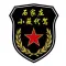 小薇司机