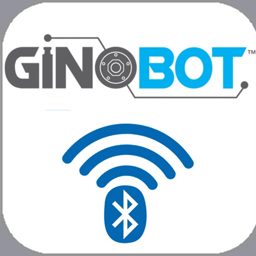 Ginobot Robot RC