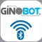 Ginobot Robot RC