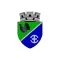 Avrig City