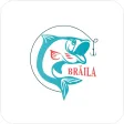 ePeste la Braila