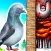 Pigeon Rescue - escape game
