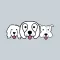 Fetch Fido