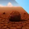 فقع لايت Truffle