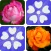 Pairs Flowers