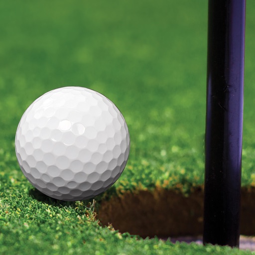 Minigolf Aces Minigolf Aces