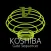Koshiba - AUv3 Plug-in Effect