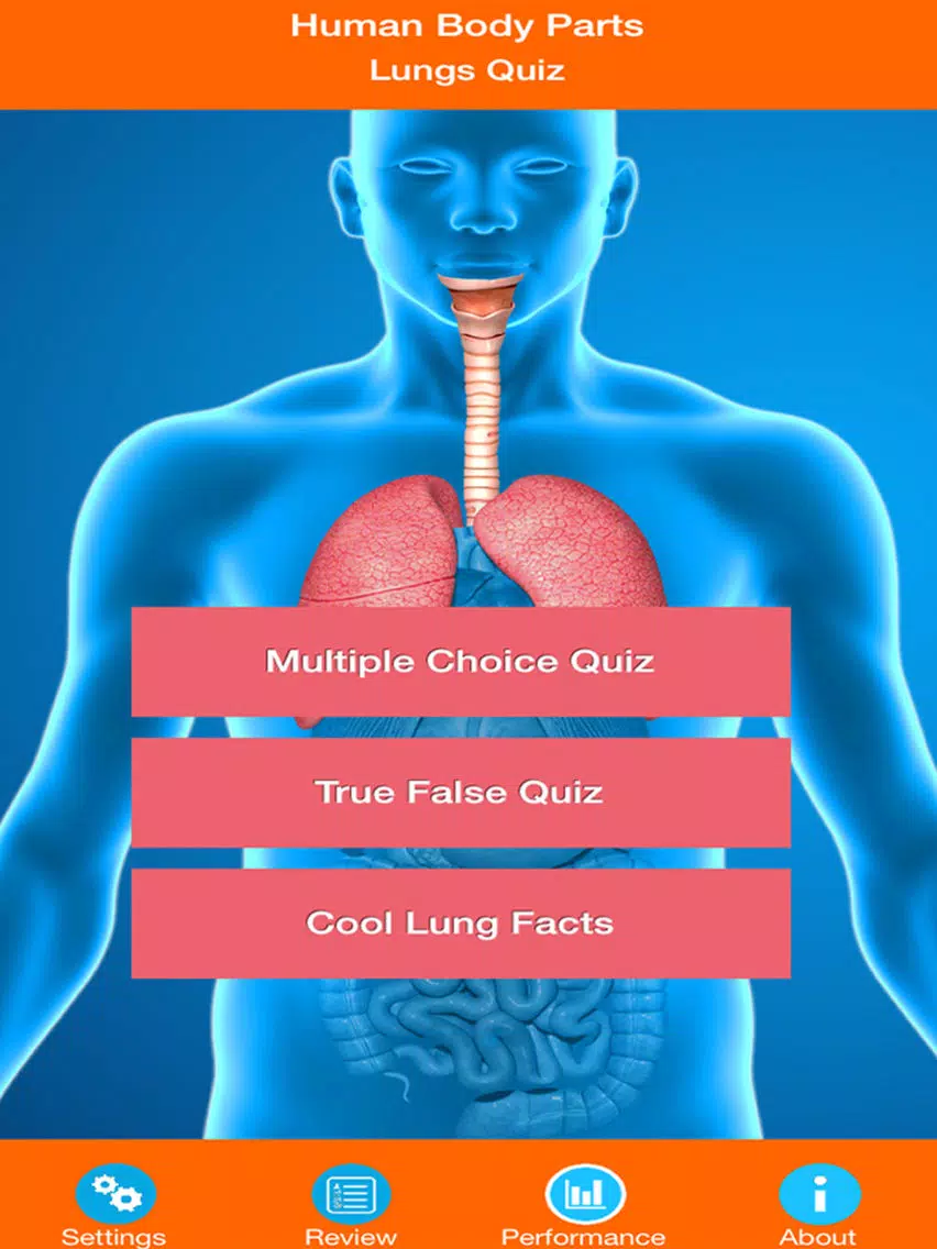 Human Body Parts : Lungs Quiz iPad Screenshots