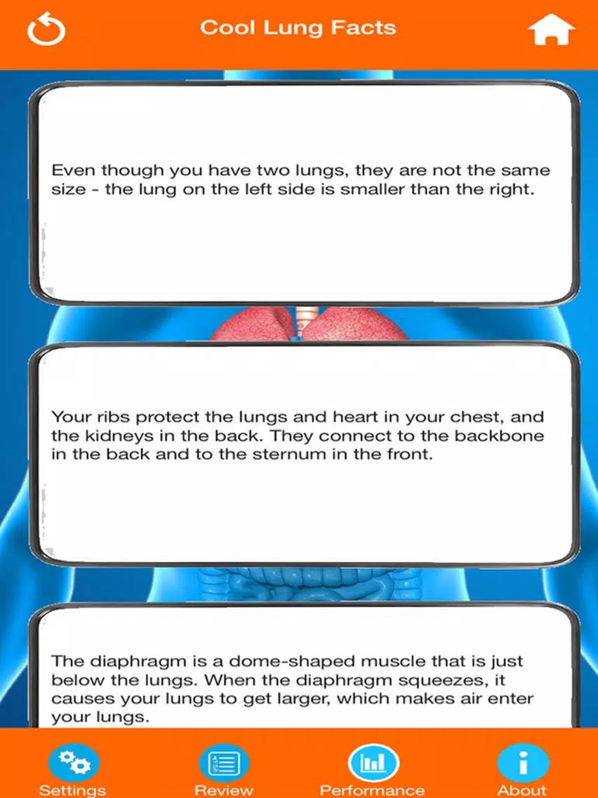 Human Body Parts : Lungs Quiz iPad Screenshots