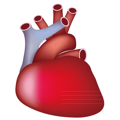 Circulatory System Study Cards Circulatory System Study Cards