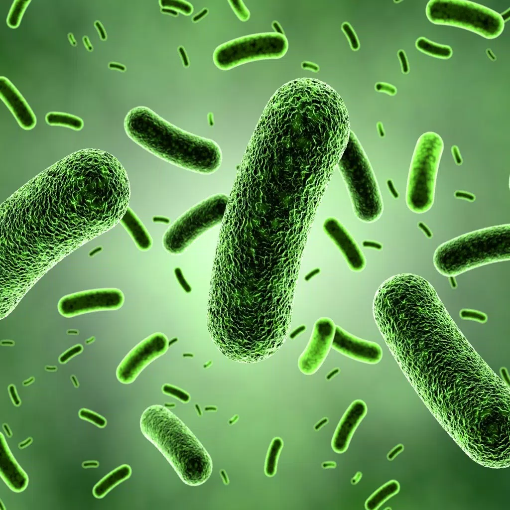 Medical Science : Microbiology Quiz Medical Science : Microbiology Quiz