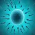 Reproductive Medical Terms