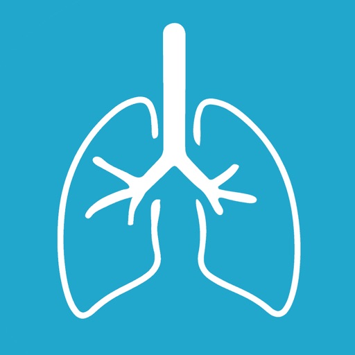 Respiratory System Study Cards Respiratory System Study Cards