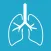 Respiratory System Study Cards