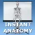 Anatomy Topics in Focus