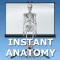 Anatomy Topics in Focus
