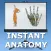 Anatomy Lectures Limbs