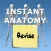 Anatomy Revision