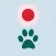 Cat laser pointer  - Pet fun