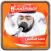 احمد النفيس القرءان الكريم