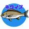 お魚クイズ