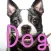犬種クイズDog breed Quiz
