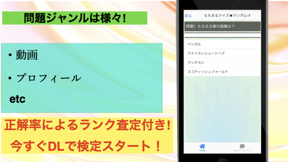 クイズforもちまる日記 もち様ペットインフルエンサー猫検定 Screenshots