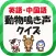 英語・中国語動物鳴き声クイズ