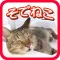 袖猫(そでねこ)動画まとめ