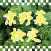 京野菜　検定　過去問題