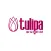 Tulipa Clubs