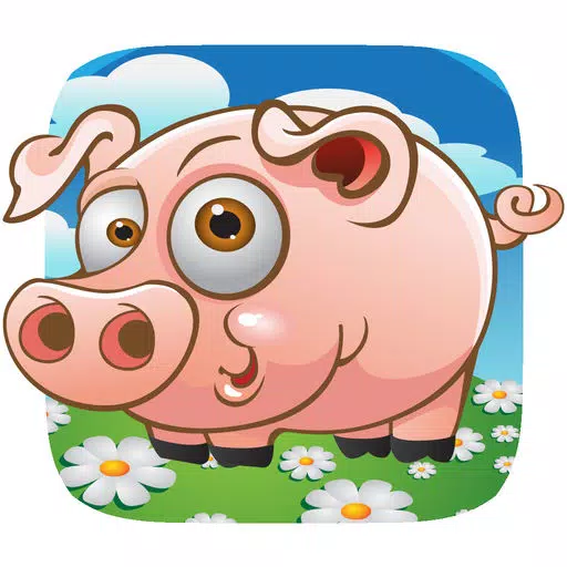 Teacup Pig Teacup Pig