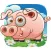 Teacup Pig
