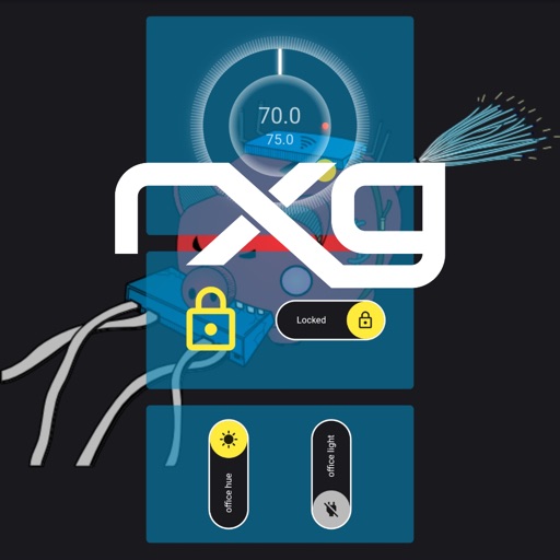 rXg IoT Card rXg IoT Card