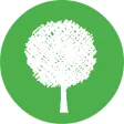 Parque Ibirapuera Conservação