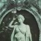 The Teacup Prophecies