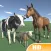 Learn: Farm animals - HD