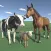 Learn: Farm animals
