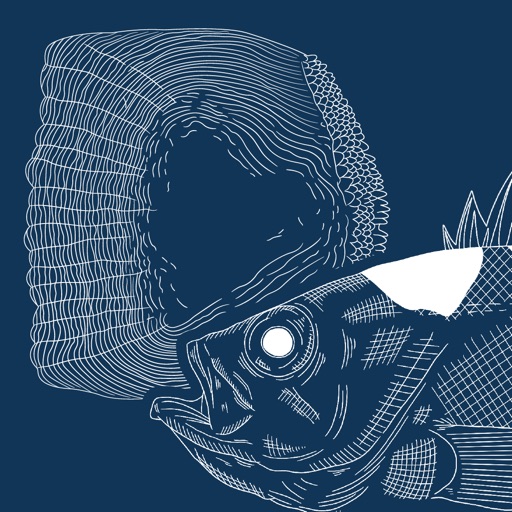 Fish scale SCALE Fish scale SCALE