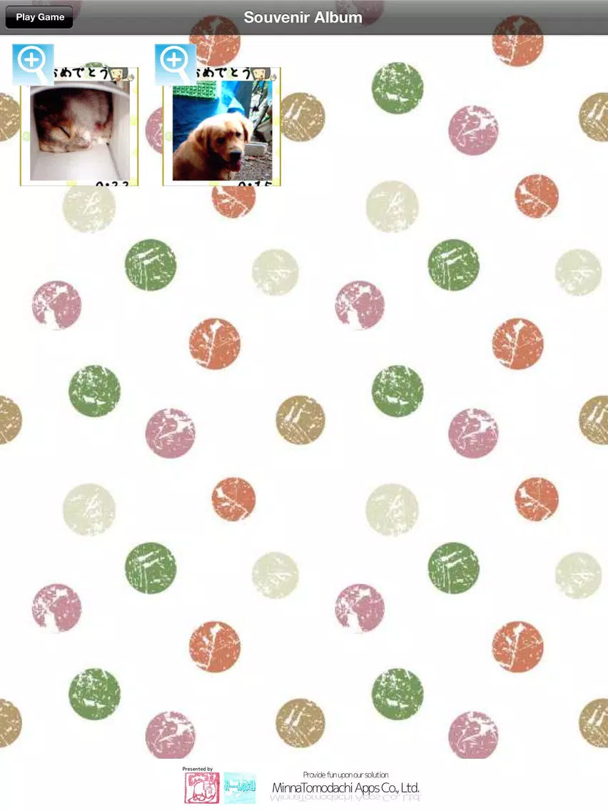 AR 16 Puzzle Z - Let's make your own puzzle with your friend's pics! iPad Screenshots