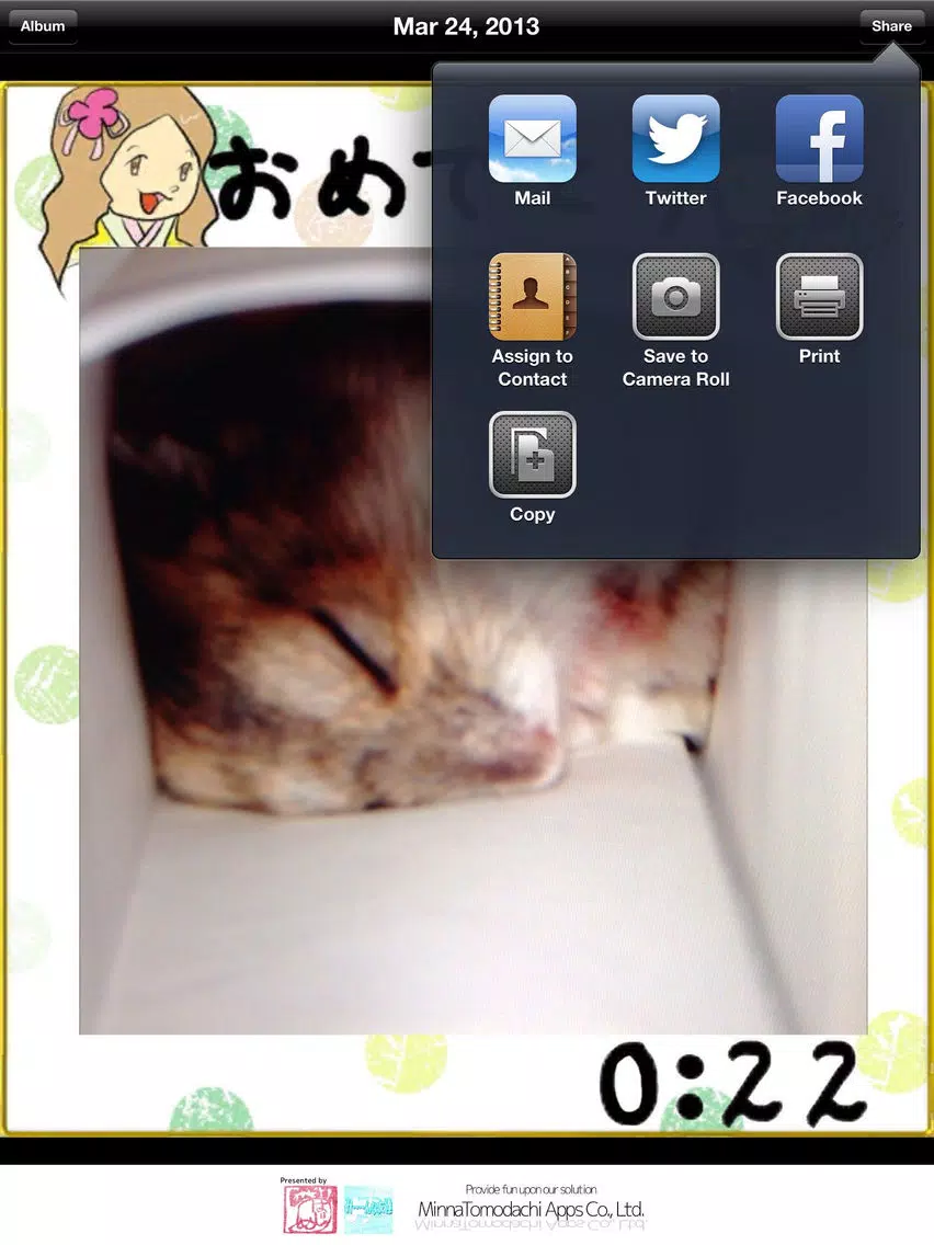AR 16 Puzzle Z - Let's make your own puzzle with your friend's pics! iPad Screenshots