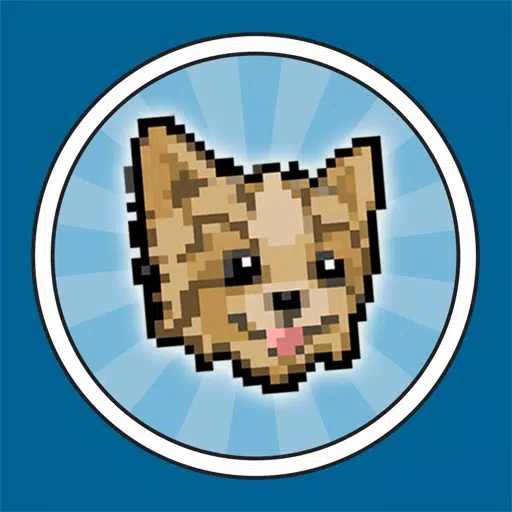 Tiny Neo - Agility Training Tiny Neo - Agility Training