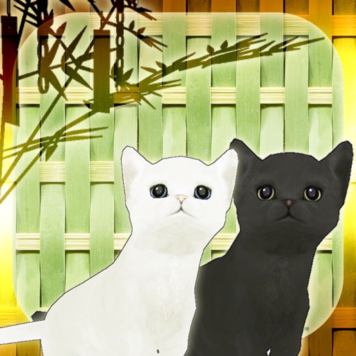 脱出ゲーム 子猫と七夕の夜 脱出ゲーム 子猫と七夕の夜